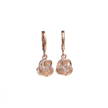 Load image into Gallery viewer, Cubic Zirconia Drop Earrings